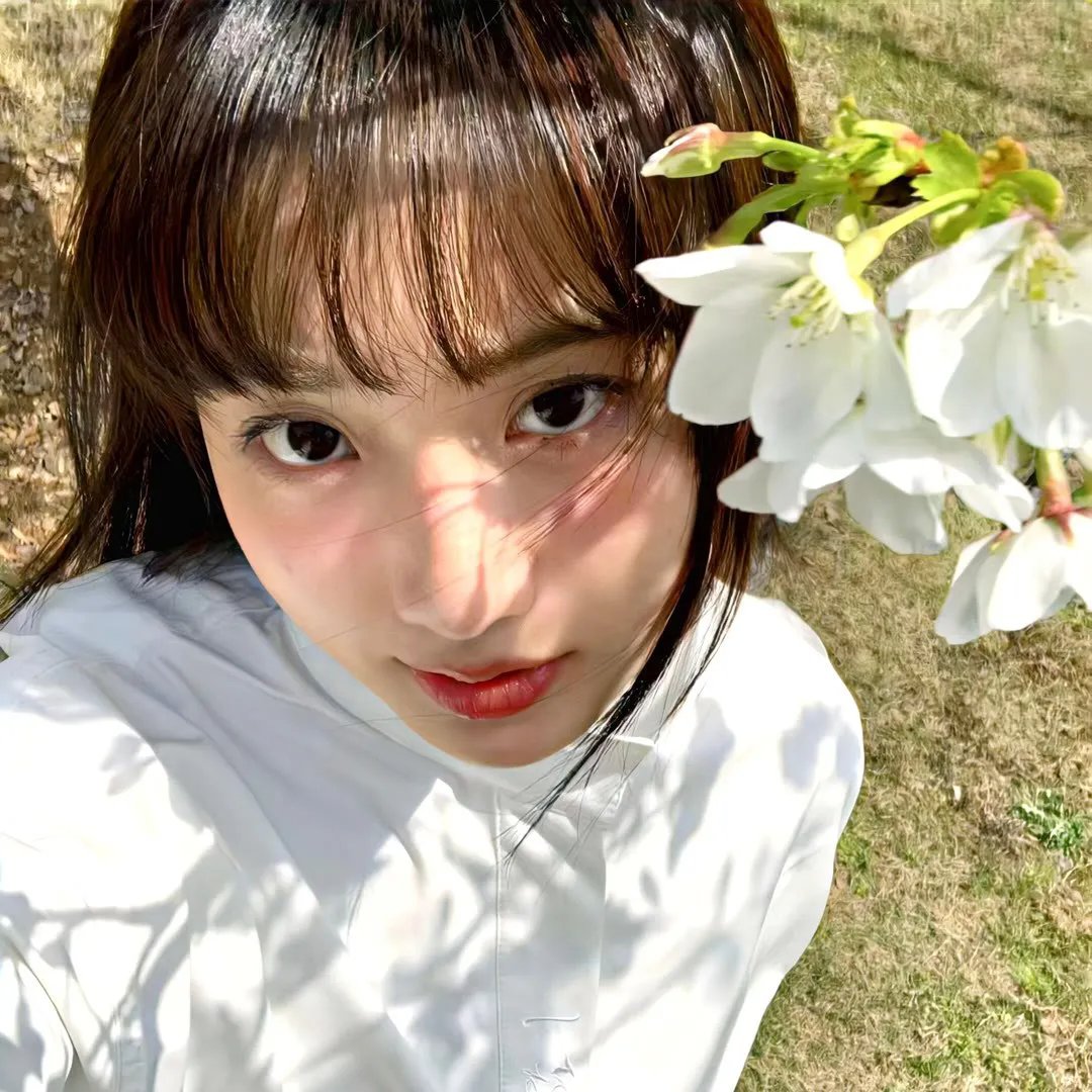 蝴蝶夫人的现代家庭